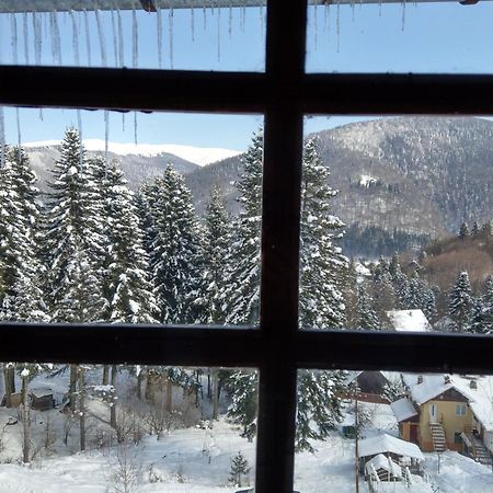 Grandpa'S Hidden Crib, 6 Bedroom, Pet Friendly Sinaia Extérieur photo