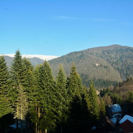 Grandpa'S Hidden Crib, 6 Bedroom, Pet Friendly Sinaia Extérieur photo