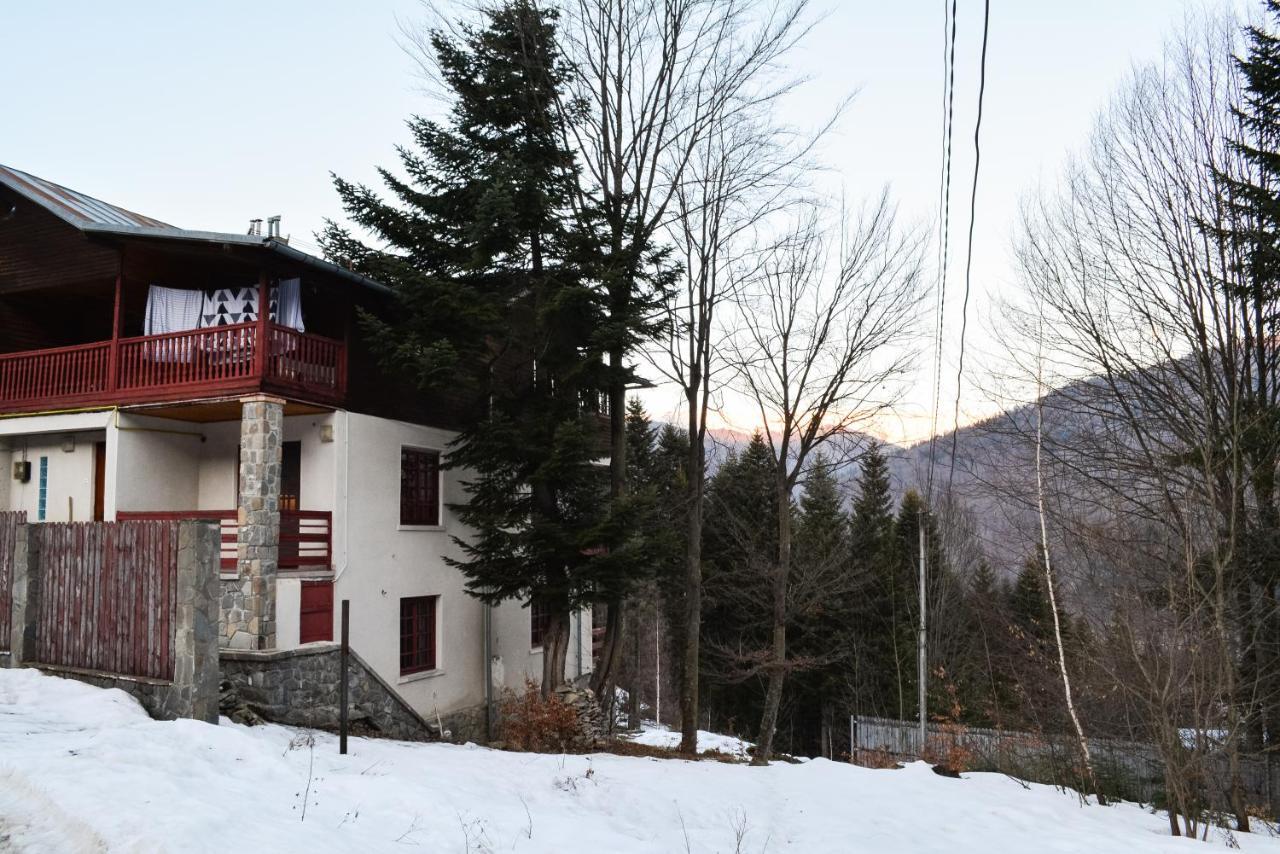 Grandpa'S Hidden Crib, 6 Bedroom, Pet Friendly Sinaia Extérieur photo