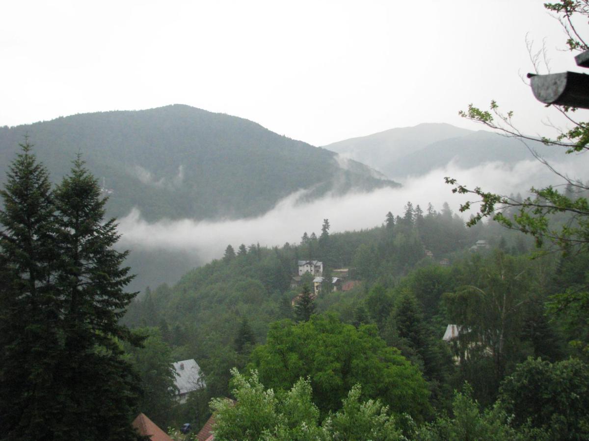 Grandpa'S Hidden Crib, 6 Bedroom, Pet Friendly Sinaia Extérieur photo