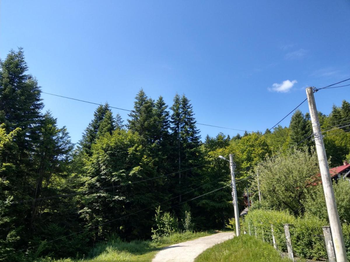 Grandpa'S Hidden Crib, 6 Bedroom, Pet Friendly Sinaia Extérieur photo