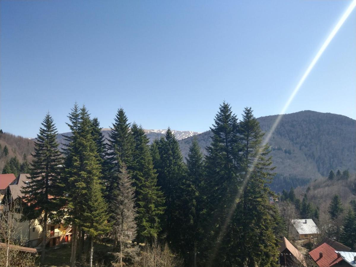 Grandpa'S Hidden Crib, 6 Bedroom, Pet Friendly Sinaia Extérieur photo