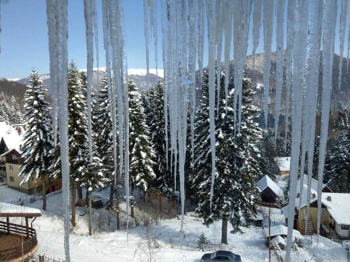 Grandpa'S Hidden Crib, 6 Bedroom, Pet Friendly Sinaia Extérieur photo