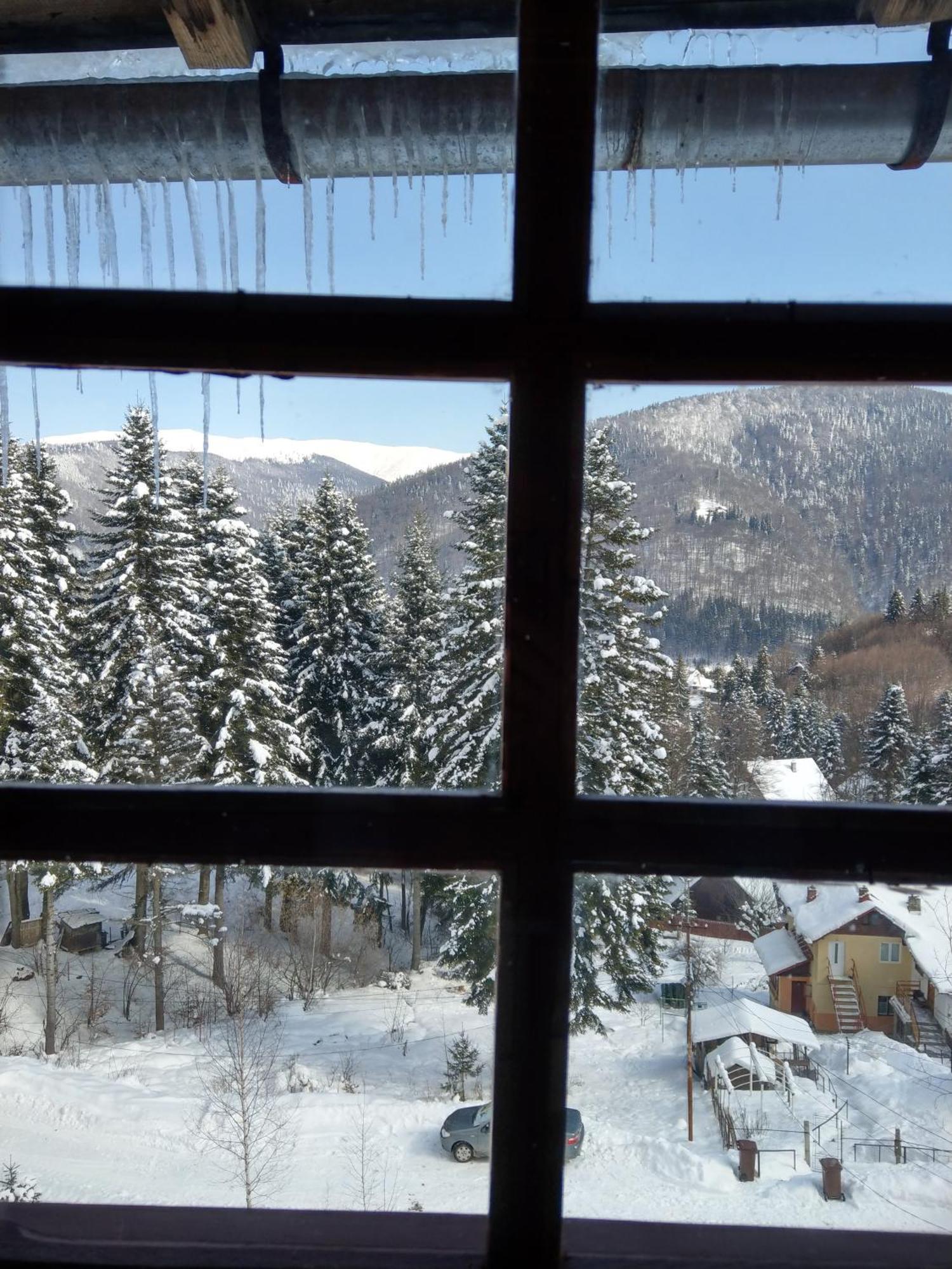 Grandpa'S Hidden Crib, 6 Bedroom, Pet Friendly Sinaia Extérieur photo