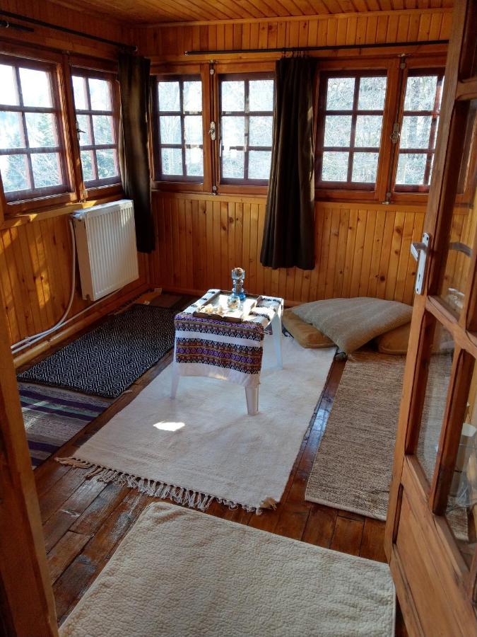 Grandpa'S Hidden Crib, 6 Bedroom, Pet Friendly Sinaia Extérieur photo
