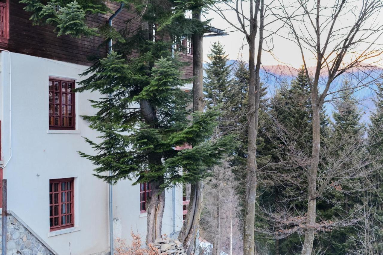 Grandpa'S Hidden Crib, 6 Bedroom, Pet Friendly Sinaia Extérieur photo