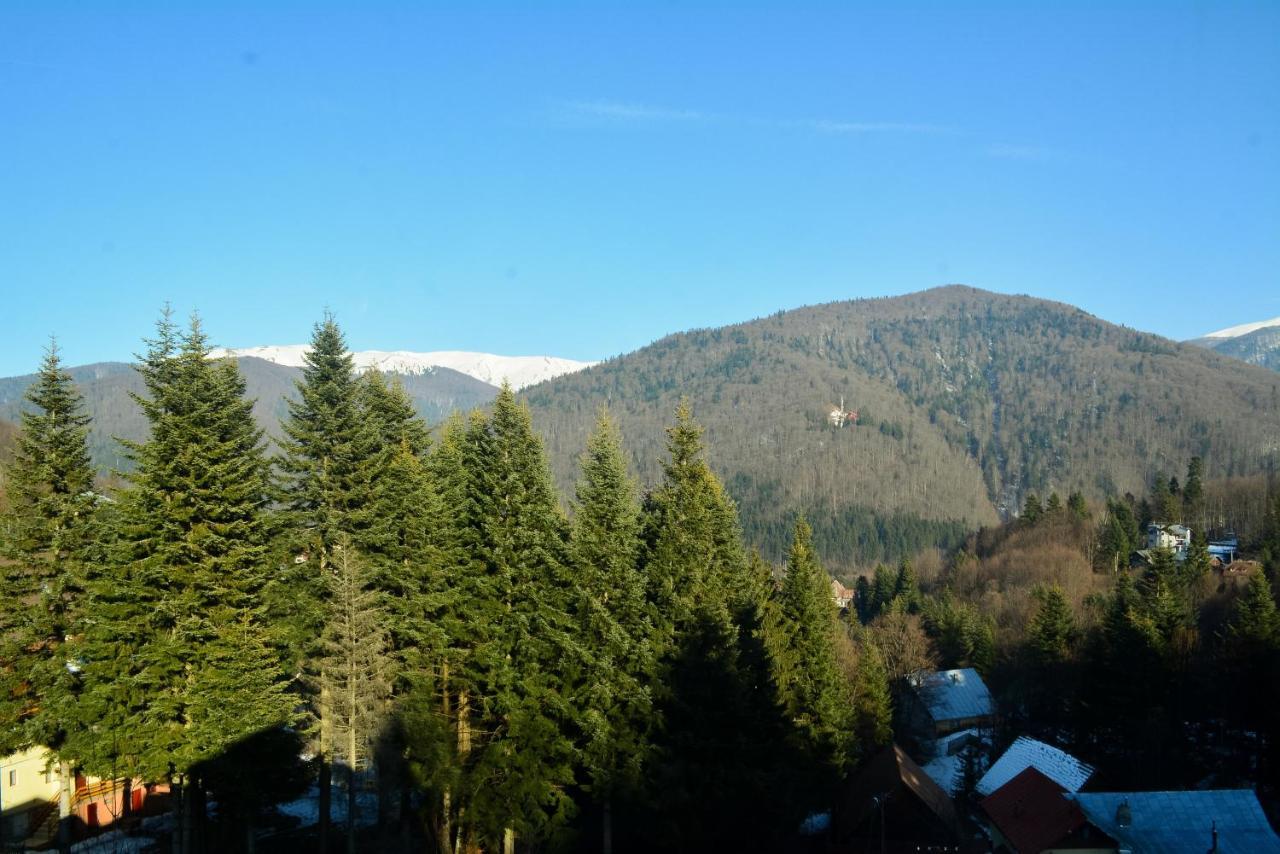 Grandpa'S Hidden Crib, 6 Bedroom, Pet Friendly Sinaia Extérieur photo
