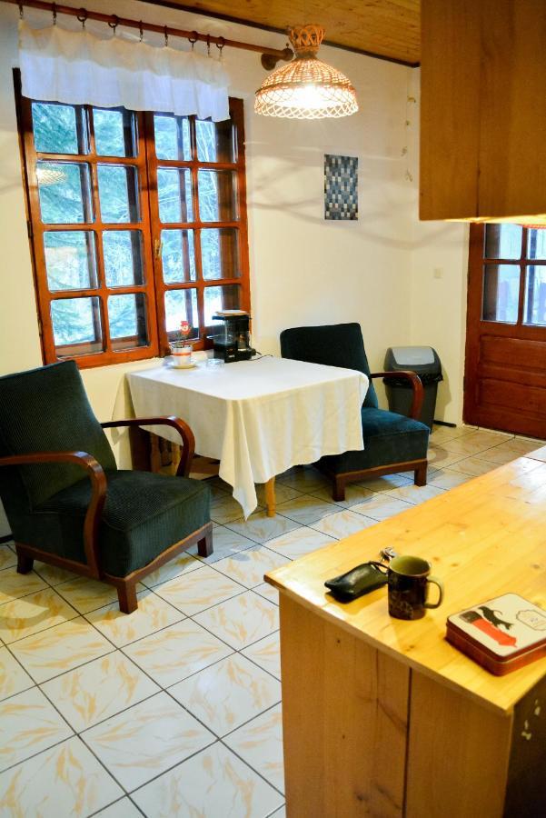 Grandpa'S Hidden Crib, 6 Bedroom, Pet Friendly Sinaia Extérieur photo