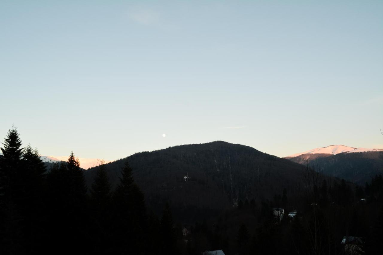 Grandpa'S Hidden Crib, 6 Bedroom, Pet Friendly Sinaia Extérieur photo