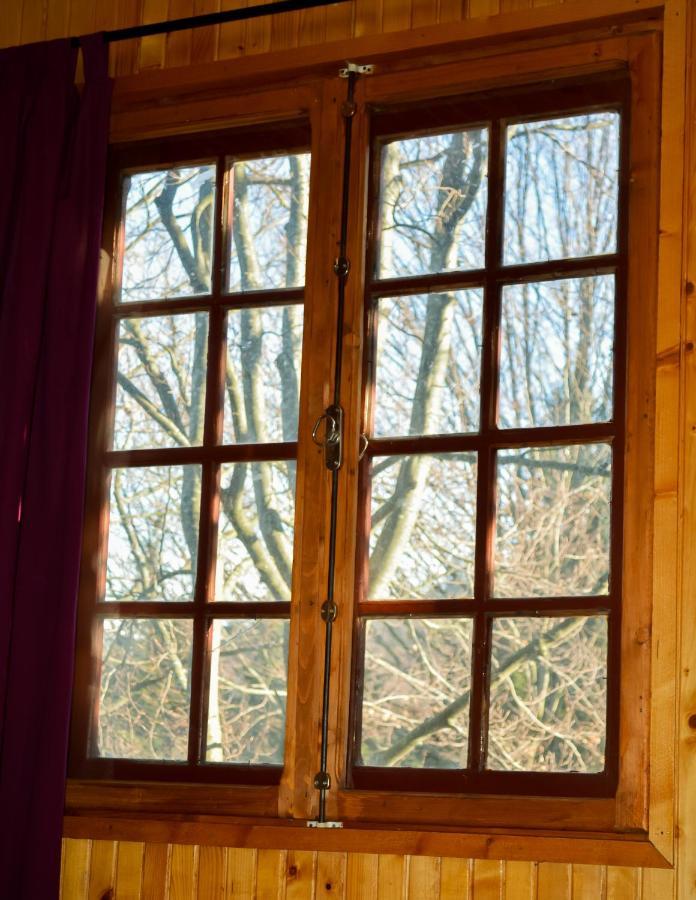 Grandpa'S Hidden Crib, 6 Bedroom, Pet Friendly Sinaia Extérieur photo