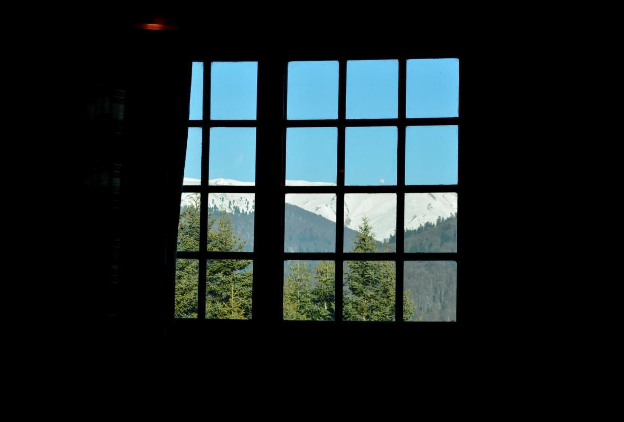 Grandpa'S Hidden Crib, 6 Bedroom, Pet Friendly Sinaia Extérieur photo